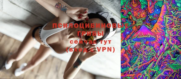 дживик Пересвет