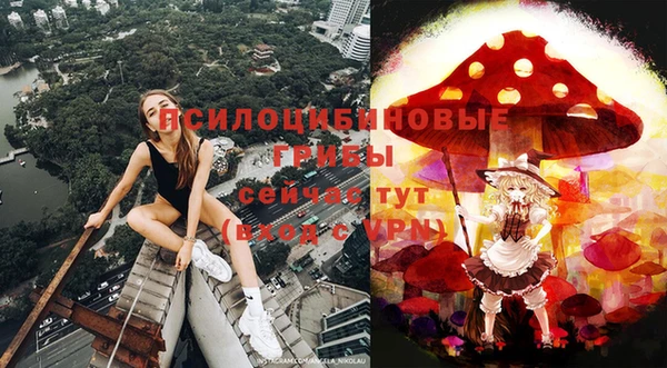 спайс Пестово